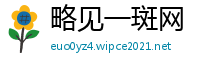 略见一斑网